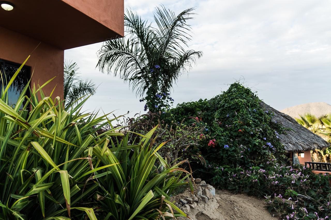 Cerritos Beach Hotel Desert Moon El Pescadero  Ngoại thất bức ảnh
